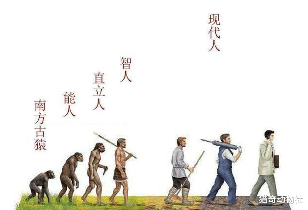 科普,进化论,人类起源,古猿,中华曙猿