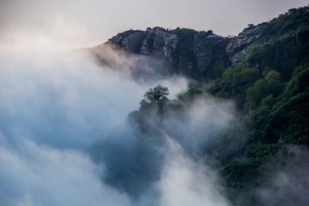 云山雾海,此景只应天上有