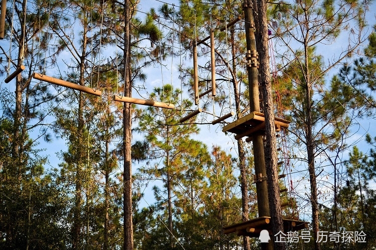 丛林穿越亲子游,小孩子才做选择,游乐园和丛林探险我都要!