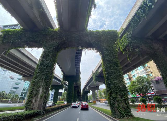 绿色长廊,成都,高架桥,城市建设管理局