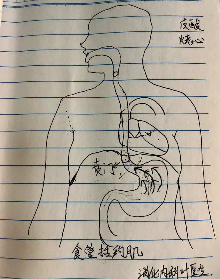 听听消化科医生怎么说!