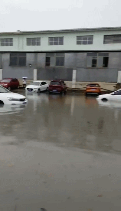 泡水车,车损险,保险公司