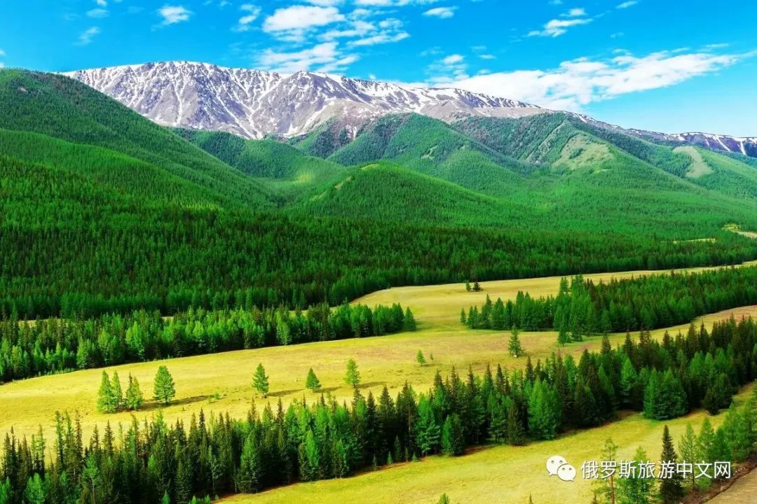 阿尔泰,美景,俄罗斯,自然风景