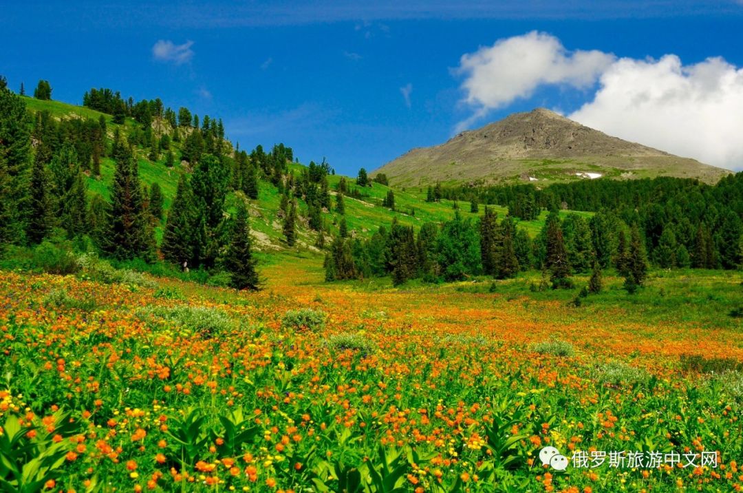 阿尔泰,美景,俄罗斯,自然风景