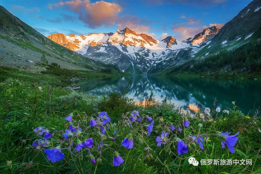 阿尔泰,美景,俄罗斯,自然风景