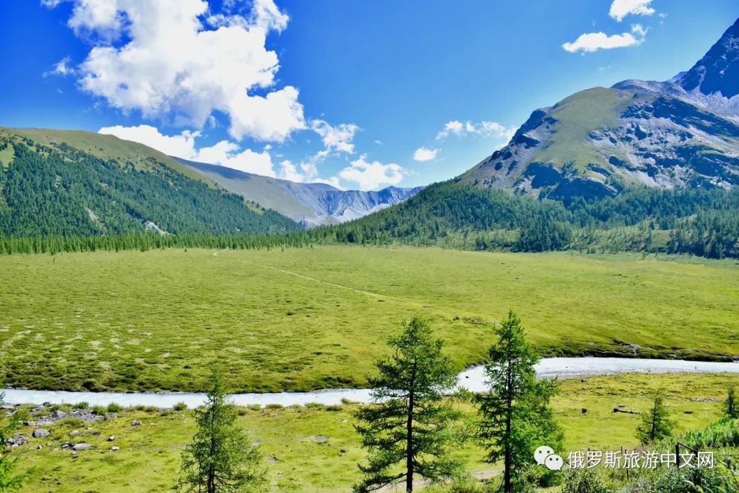 阿尔泰,美景,俄罗斯,自然风景