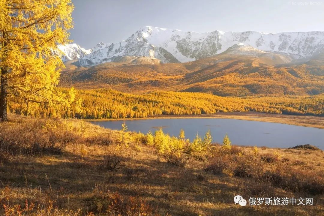 阿尔泰,美景,俄罗斯,自然风景