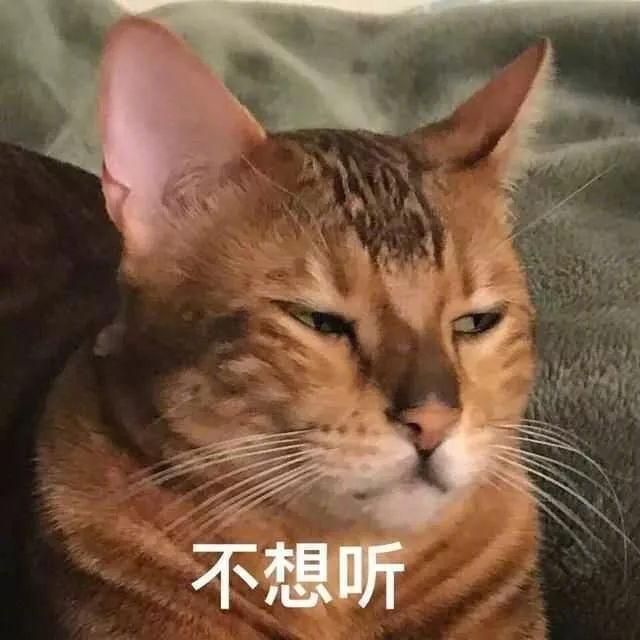 表情包"生活不易 猫猫叹气"