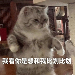 表情包"生活不易 猫猫叹气"