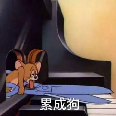 猫和老鼠表情包合集:不服你顺着网线来打我啊!
