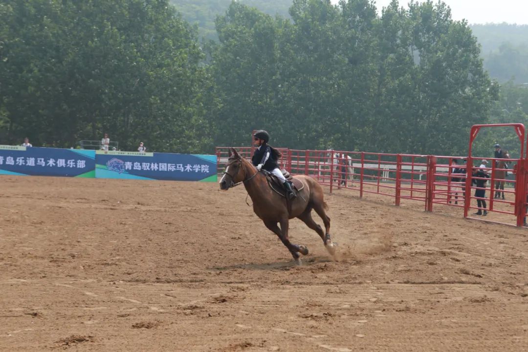 马术俱乐部,青岛