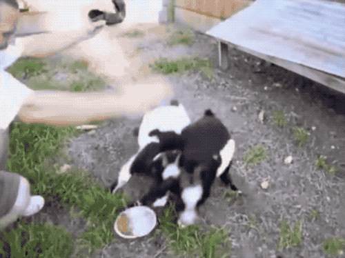 下楼时晕倒——