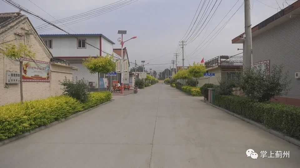 【百日会战】马伸桥镇花园村:全民参与 共建美丽花园