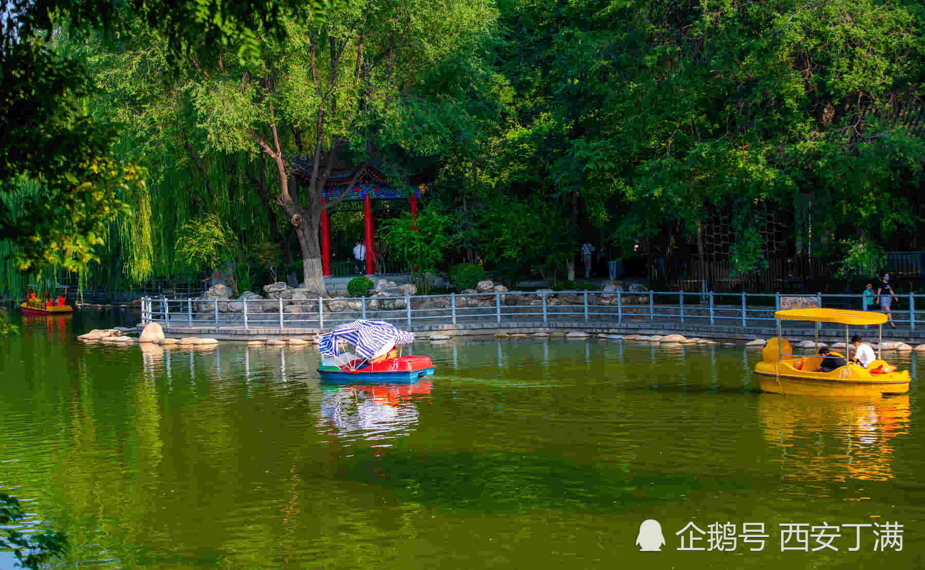 夏至游西安莲湖公园