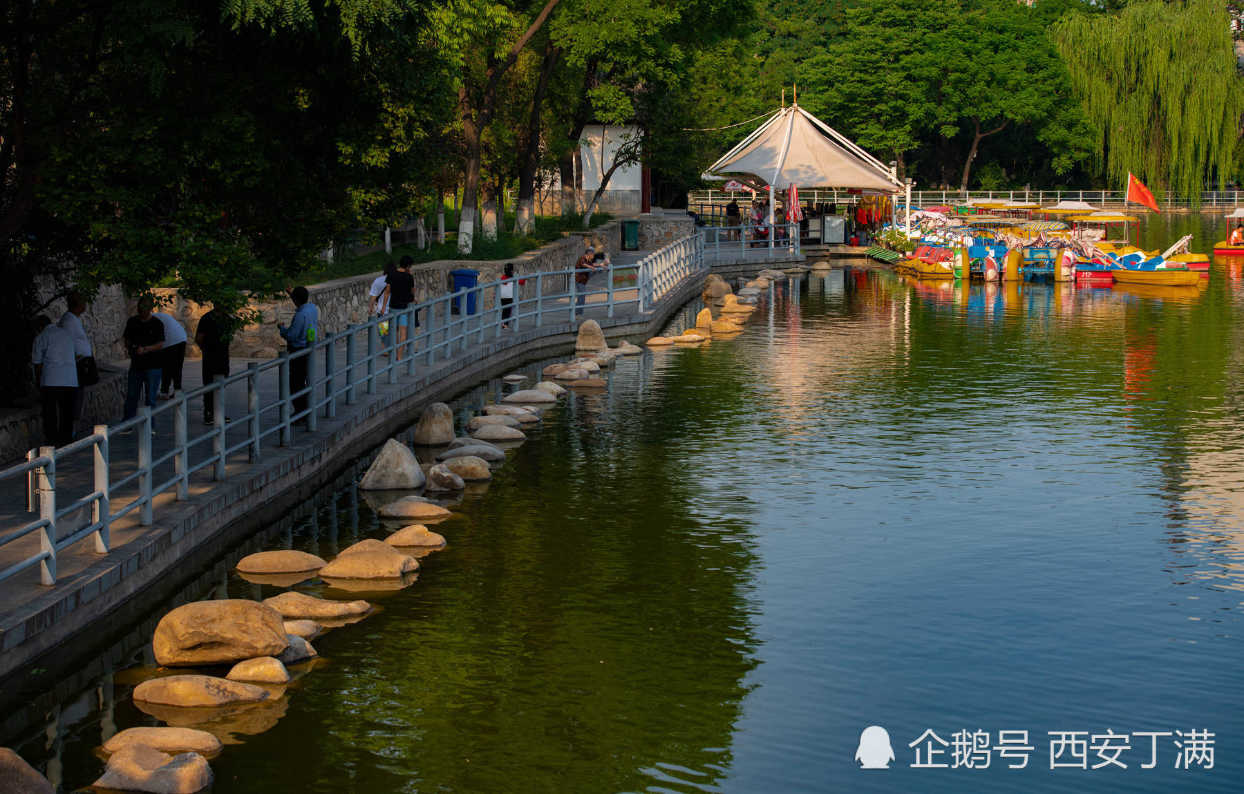 夏至游西安莲湖公园