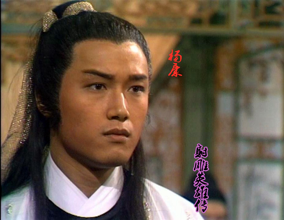 苗侨伟,杨康,射雕英雄传,黄造时,赖布衣