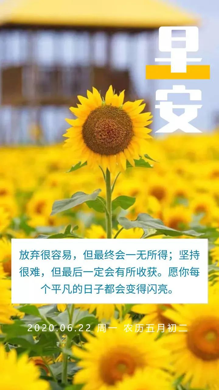 早安,新一周! 学会自爱,而后爱人, 在艰难的生活里,谨慎地给予.