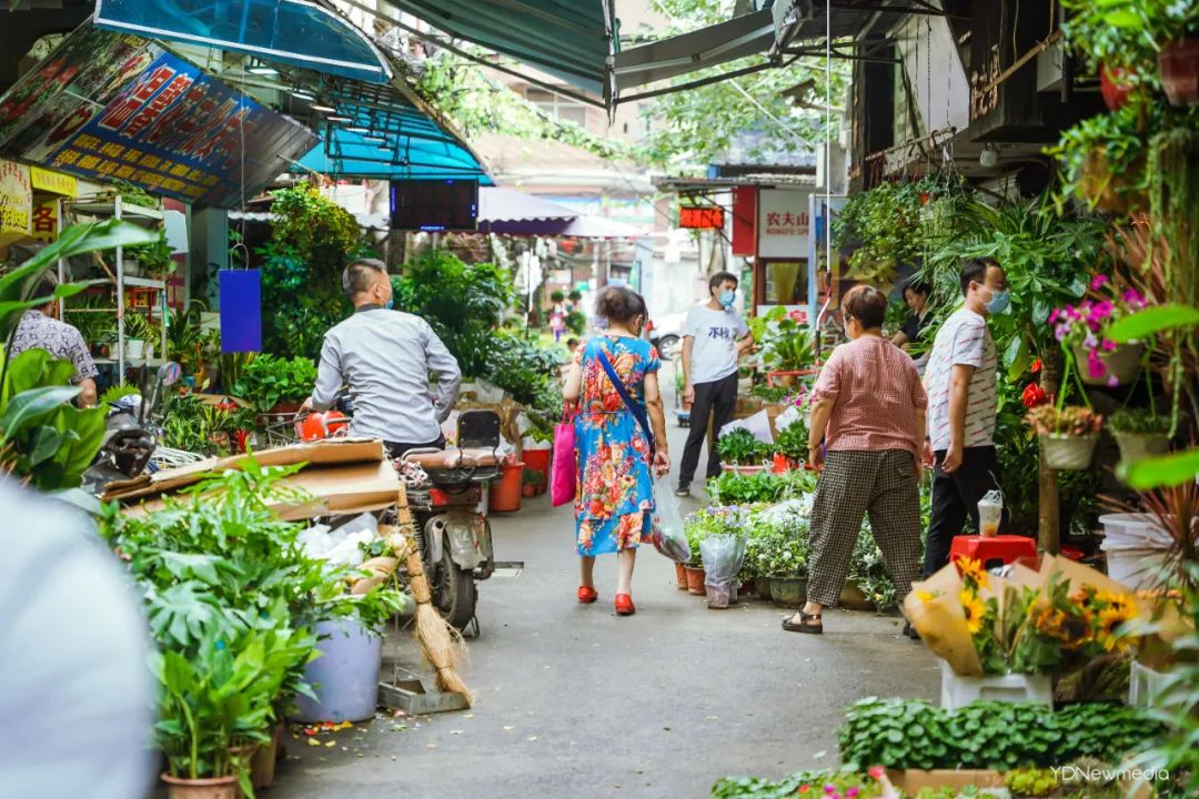 花市,鲜花,武汉