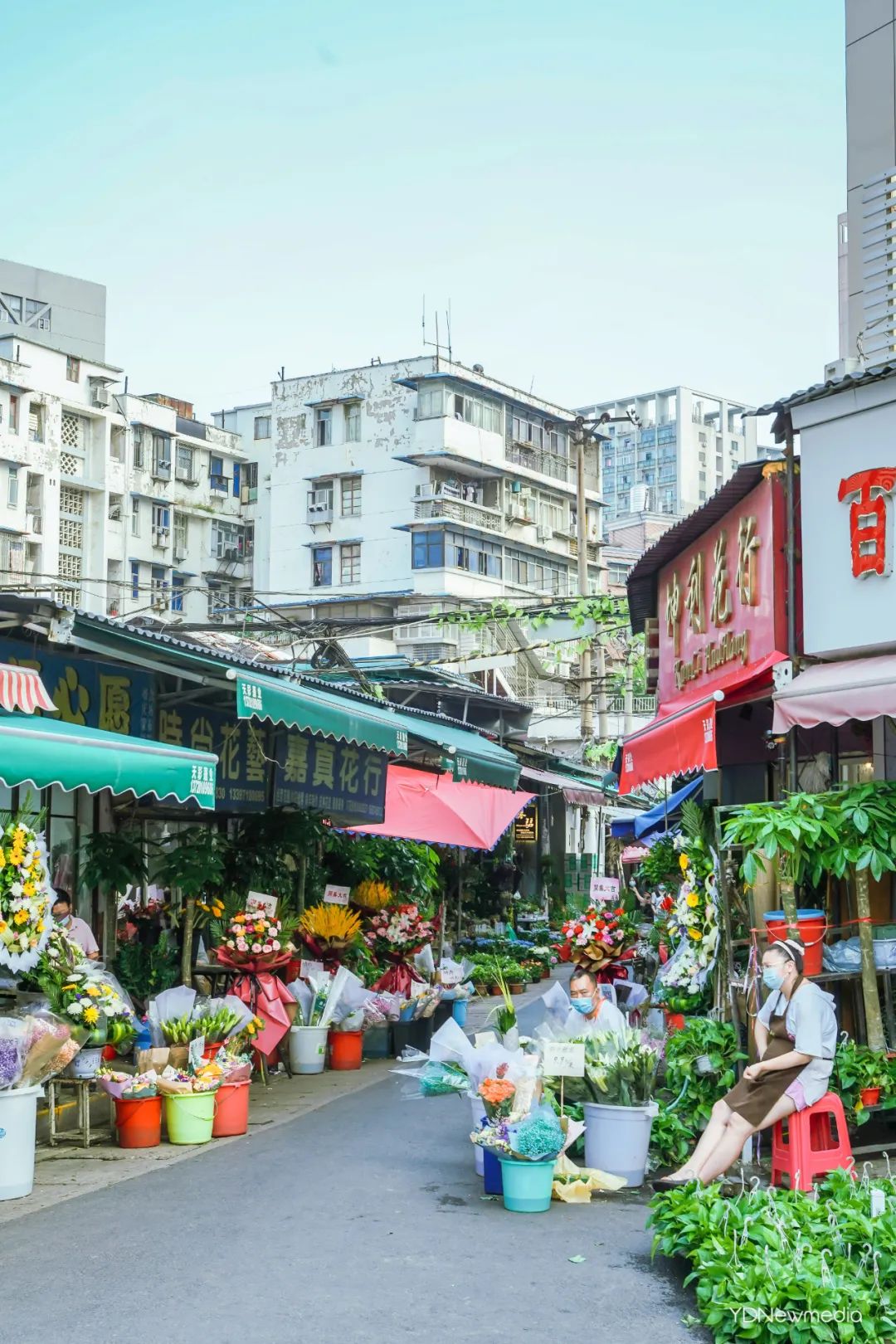 花市,鲜花,武汉