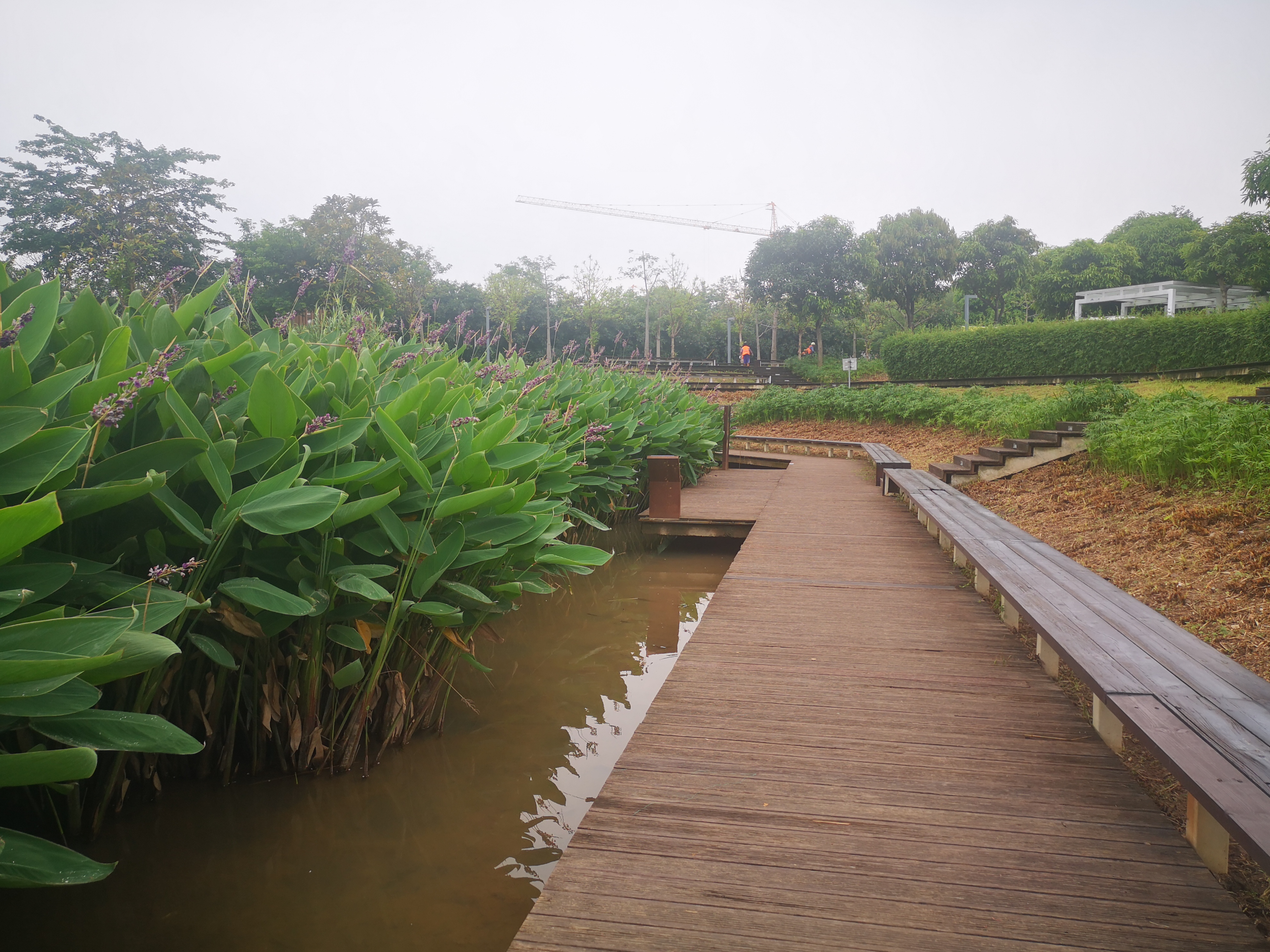 广州大观湿地公园