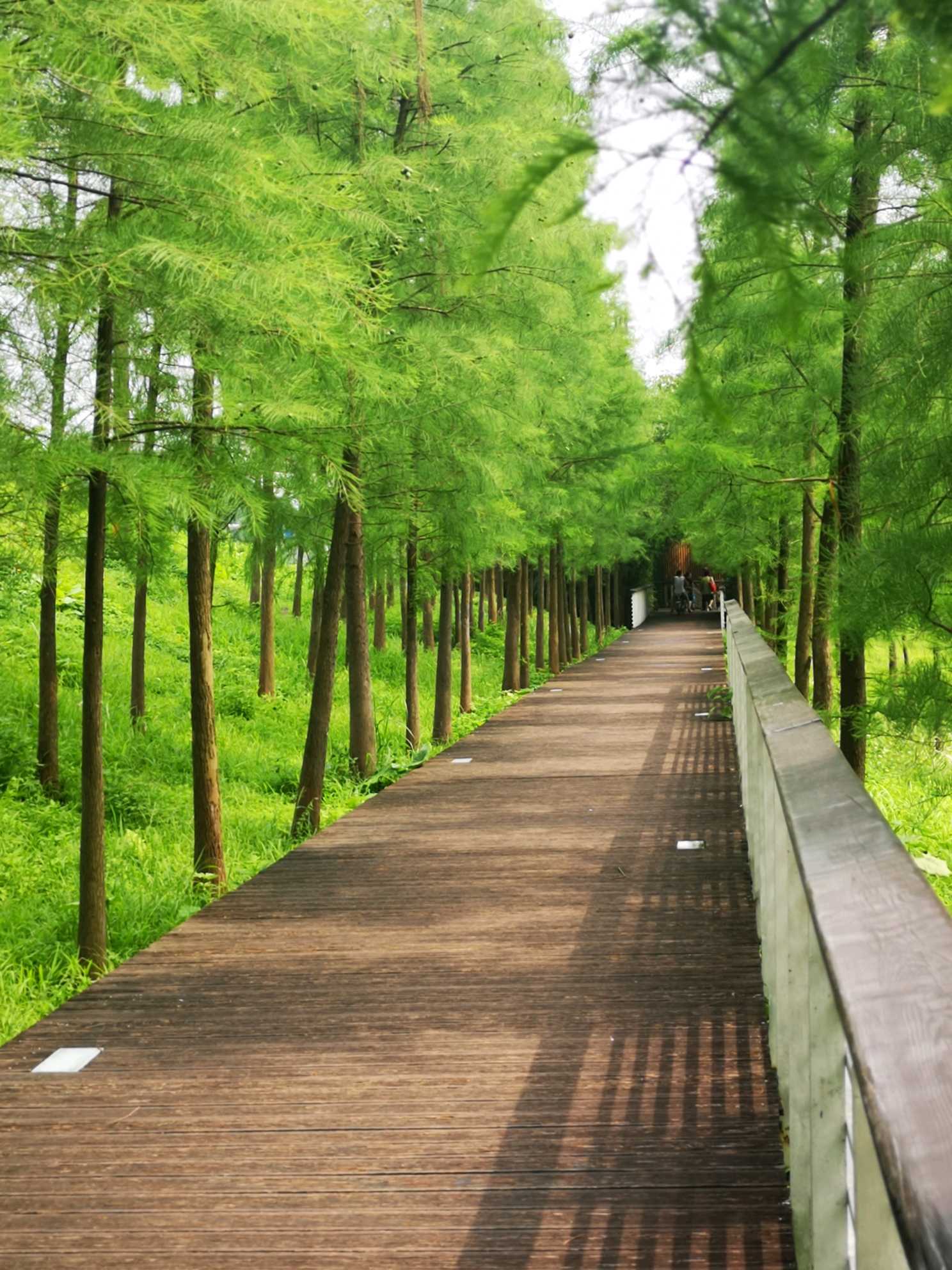 广州大观湿地公园