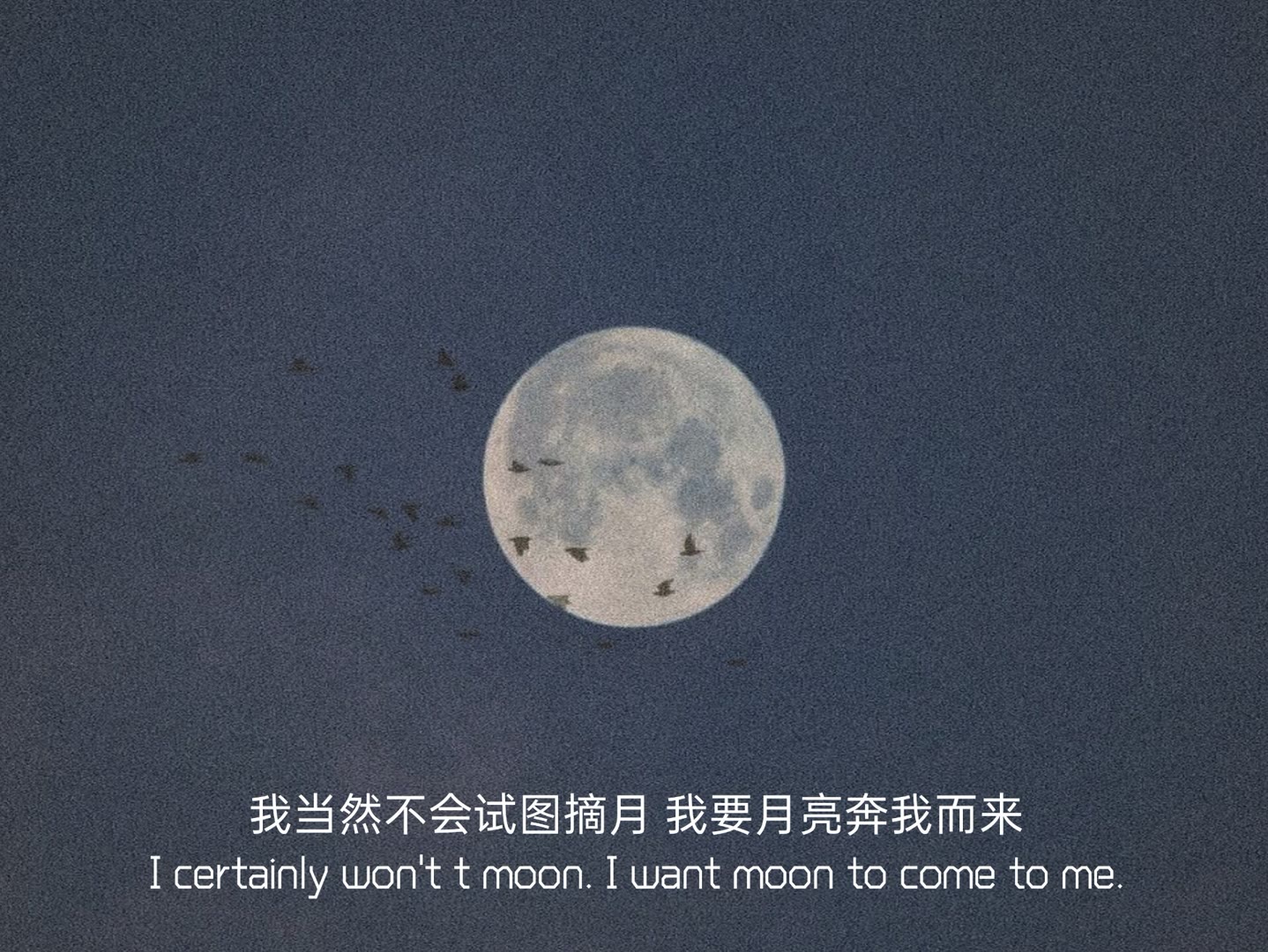 我当然不会试图摘月  我要月亮奔我而来 i certainly won"t moon .