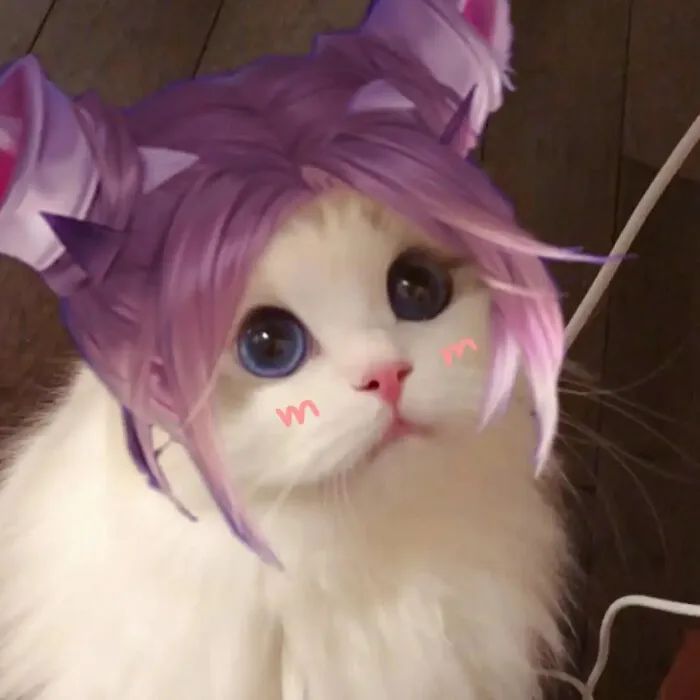 最近超火的王者荣耀猫咪接头合集