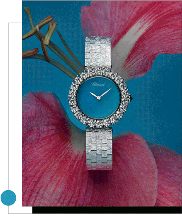 当马卡龙与腕表邂逅,原来可以这么奈斯!