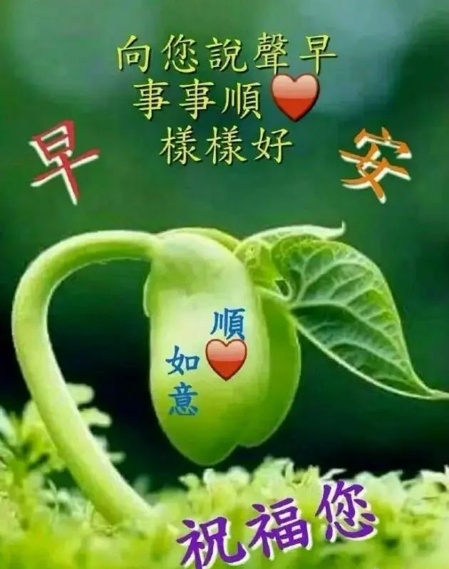 中老年表情包,一句祝福,一份关怀!