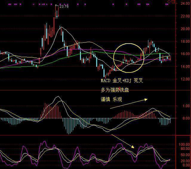 5年前长线持有海天味业股票10万元至今,将会获得怎么样的收益呢?