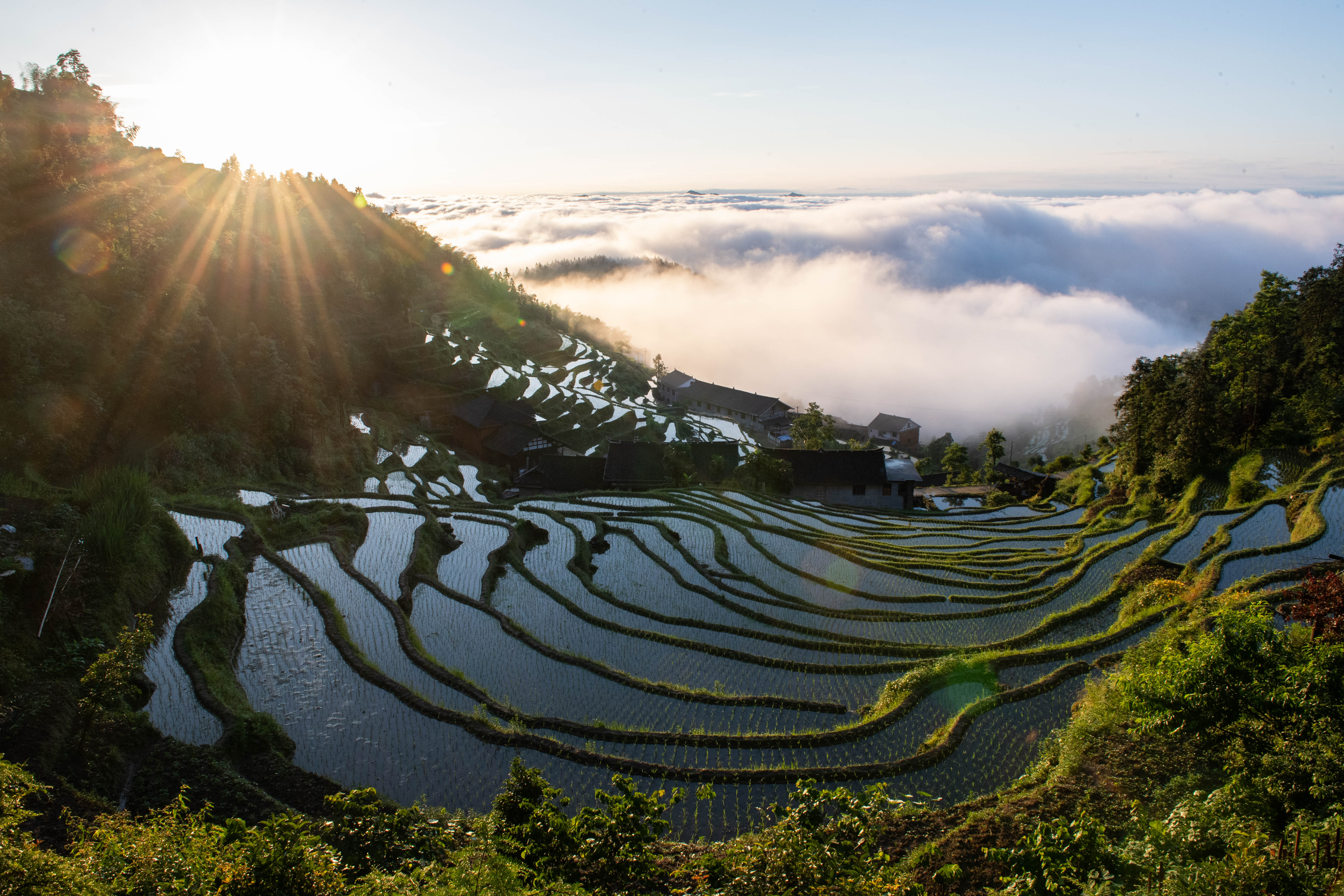 美丽乡村的优美风景