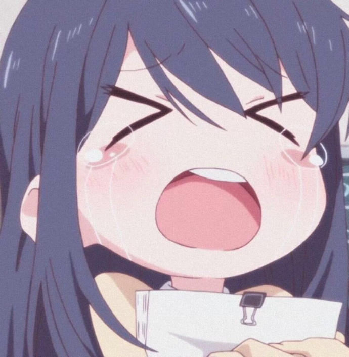 超多动漫女头