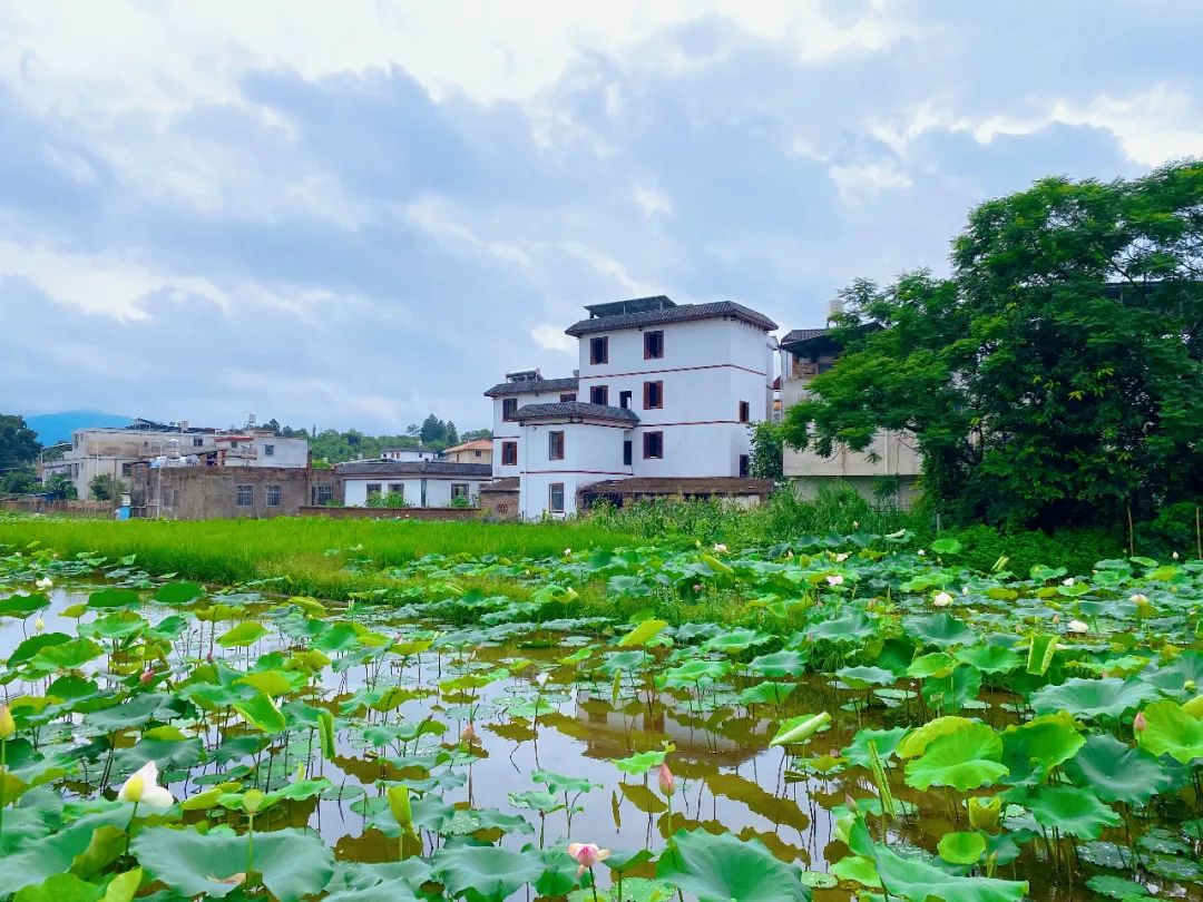 福田区,和平县,复兴,西村,上陵镇,中华,九连,河源,驻村工作队,银山