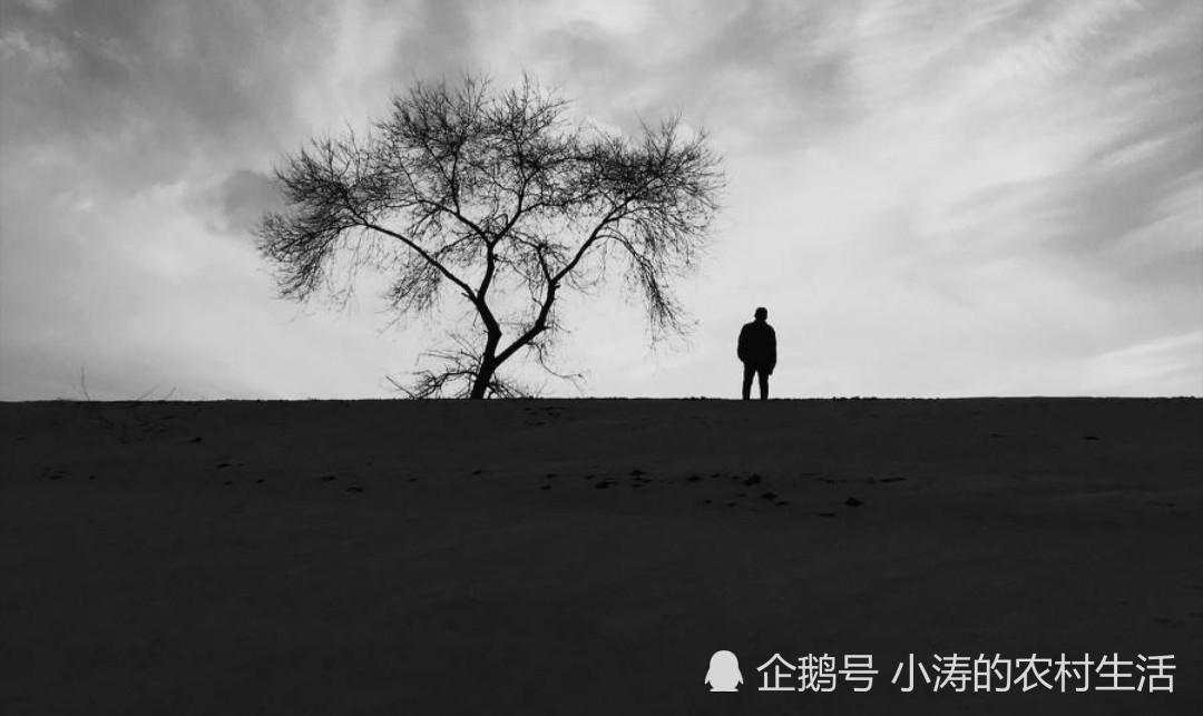 每个人的信仰就是一种延绵向远方的孤独与价值的