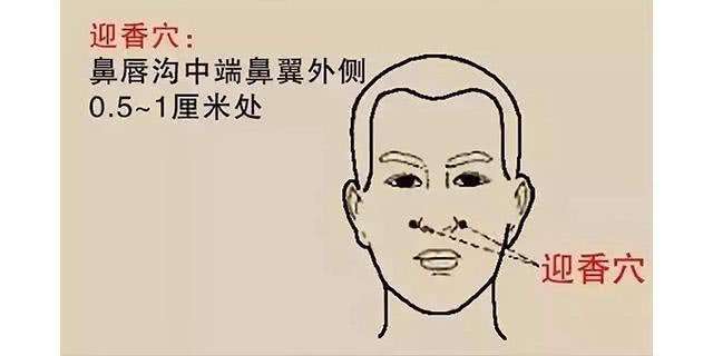 针灸穴名解——大肠经腧穴 迎香