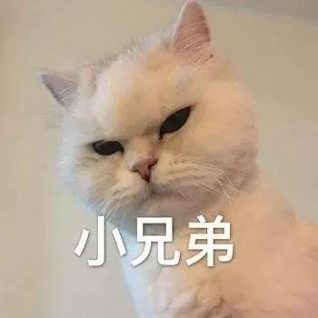 表情包:脸上泛起了婊里婊气的笑容