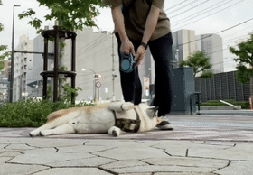 传说中的“废柴”到底有多废？