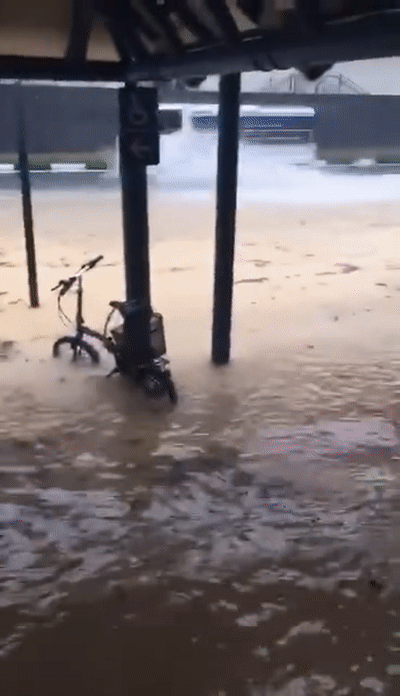 新加坡连续降温 暴雨 洪水,网友疾呼:我在赤道冻成狗啦