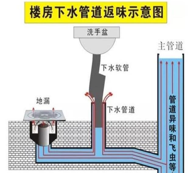 通过一张楼房下水管道反味示意图来展示,主管道是整个楼房共用的管道