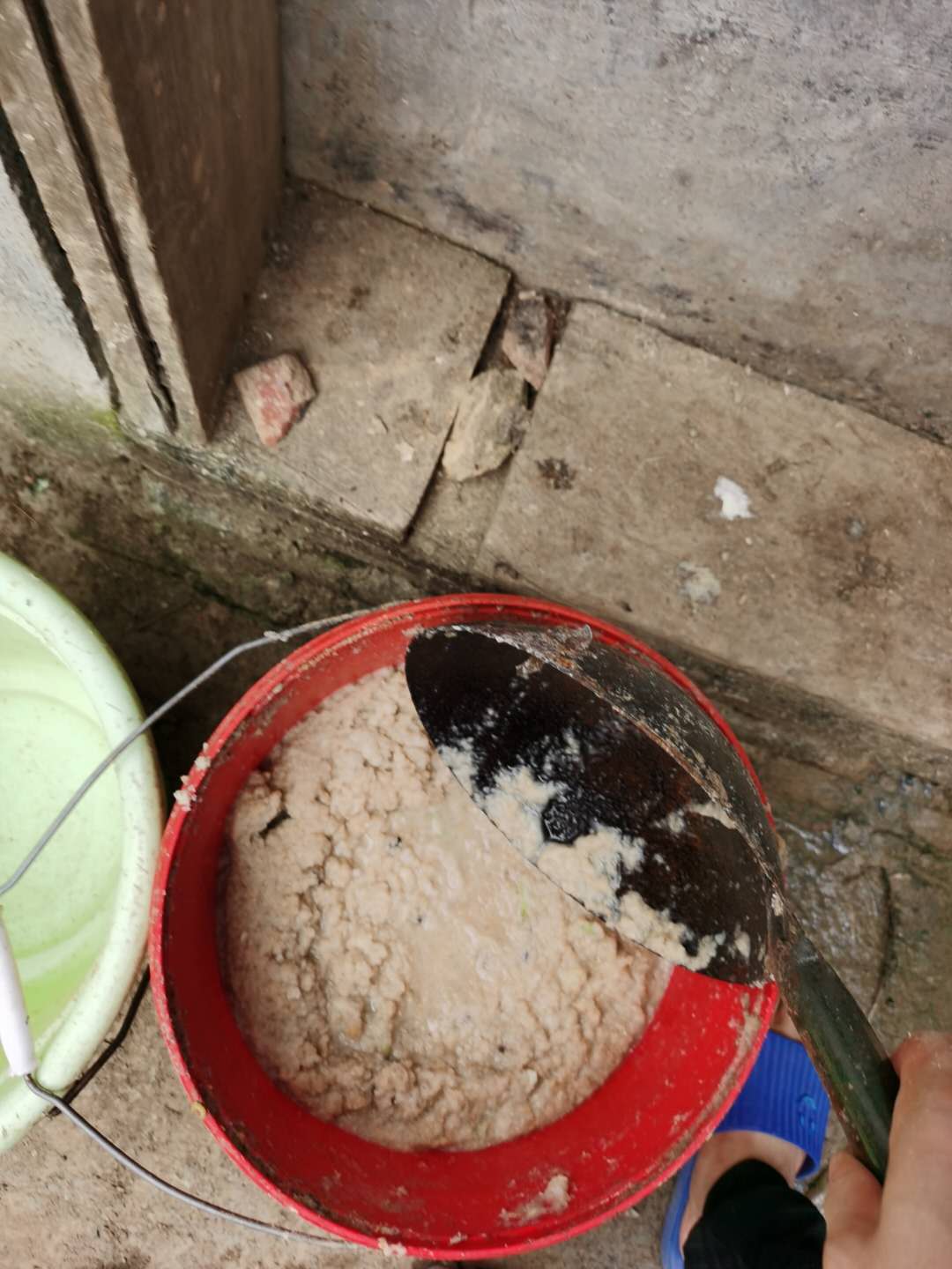 烧火煮猪食 在农村,都是喂熟食,所以要生活把猪食煮熟,比起吃生食,吃