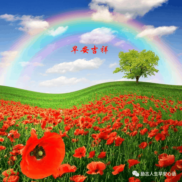 清晨因旭日东升而光辉 人生因朋友真诚而美好 生活因丰富多彩而快乐