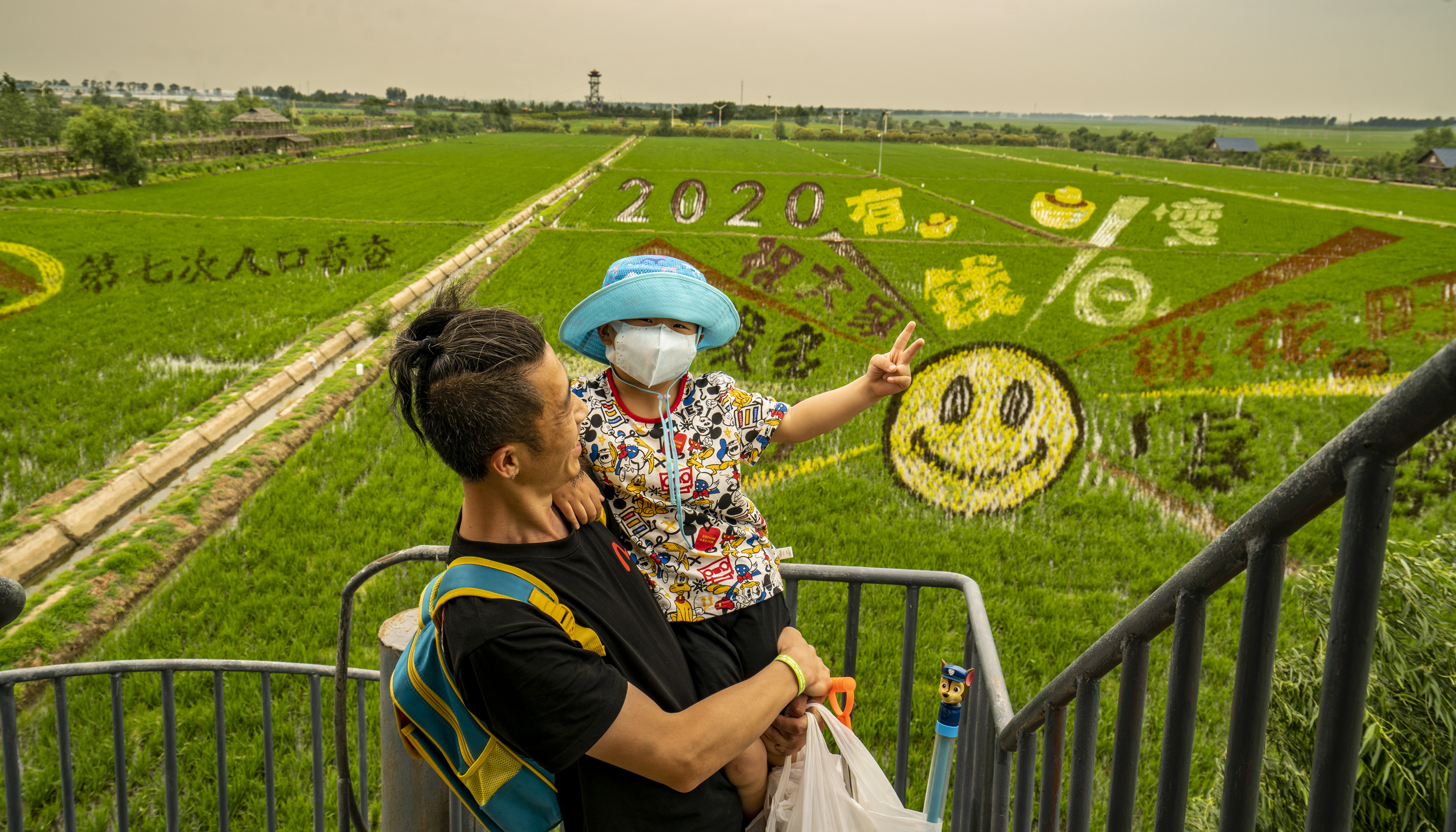 沈阳稻梦空间稻田画已展现在游人面前