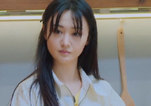 娱乐,奇妙小森林,郑爽