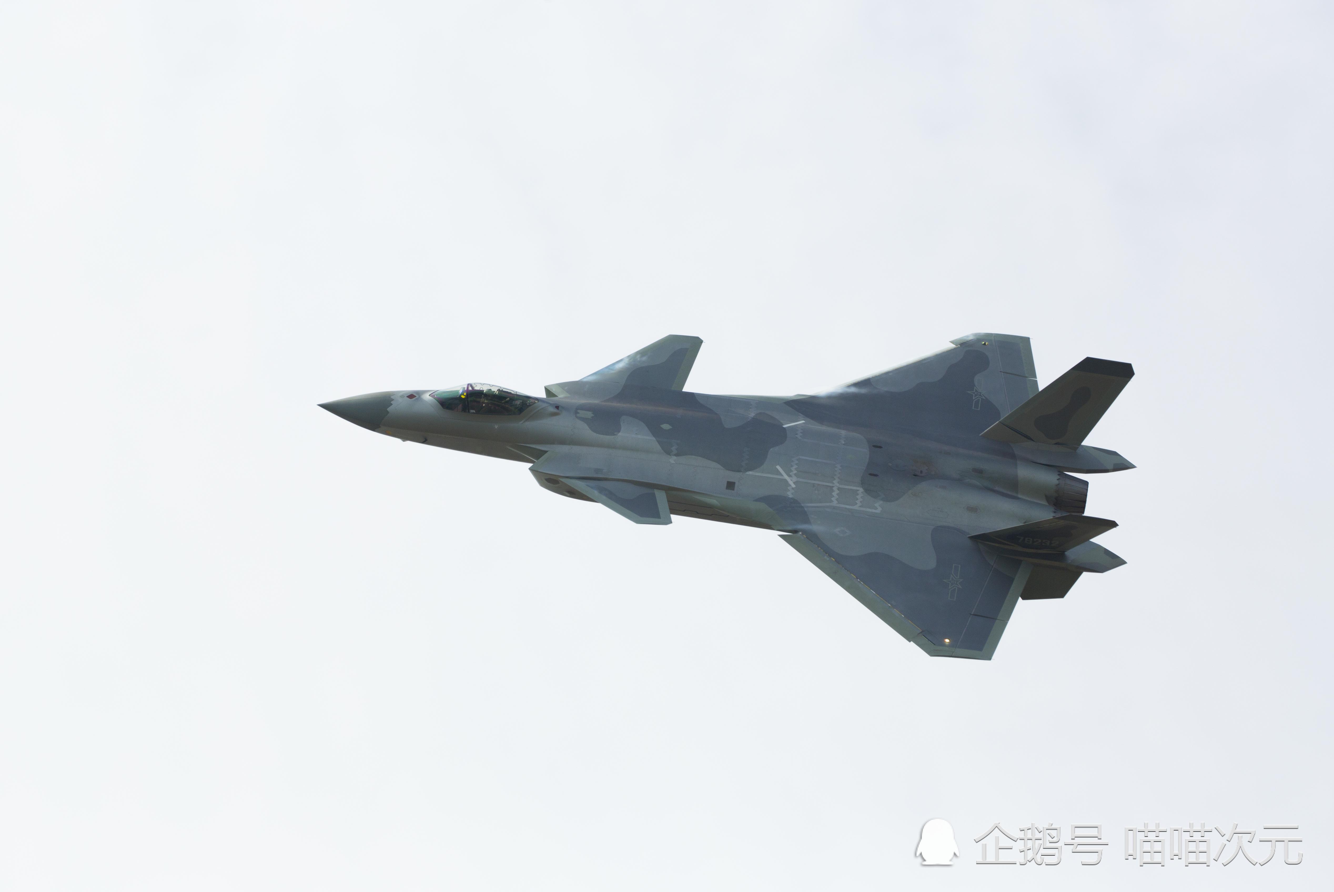 武器装备,阵风战机,印度空军,歼20,战斗机