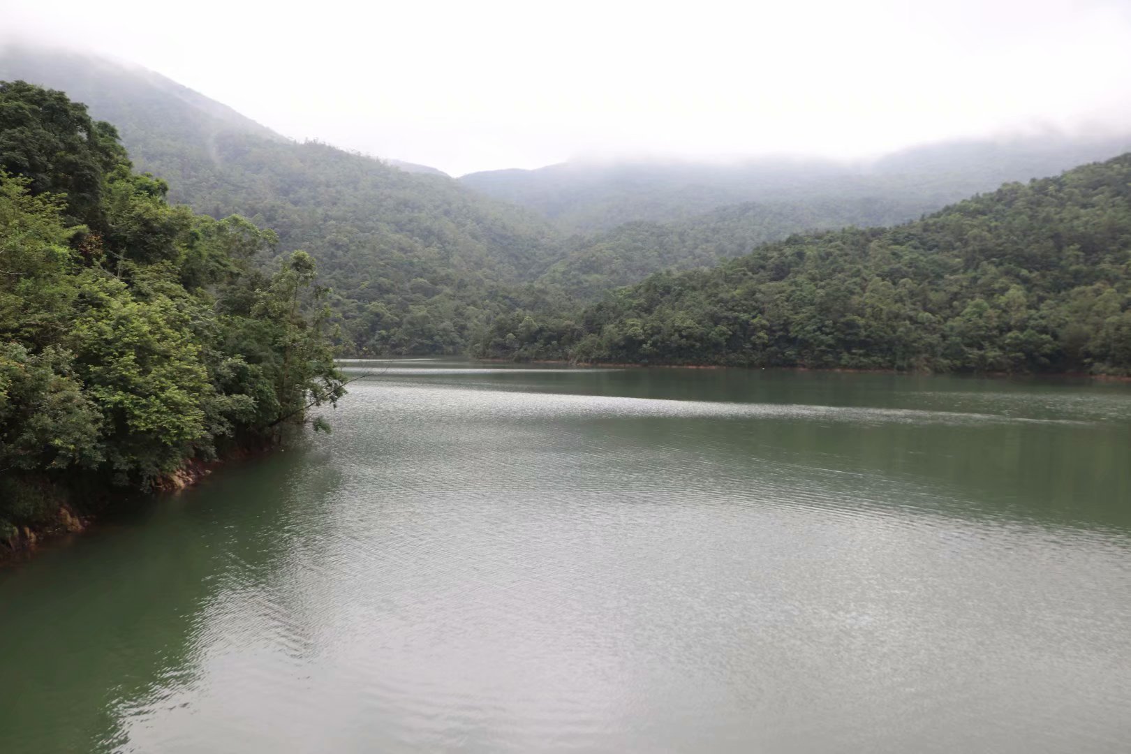 东莞一个水库意外成了景点,在青山绿水间,适合夏天玩游客也不多