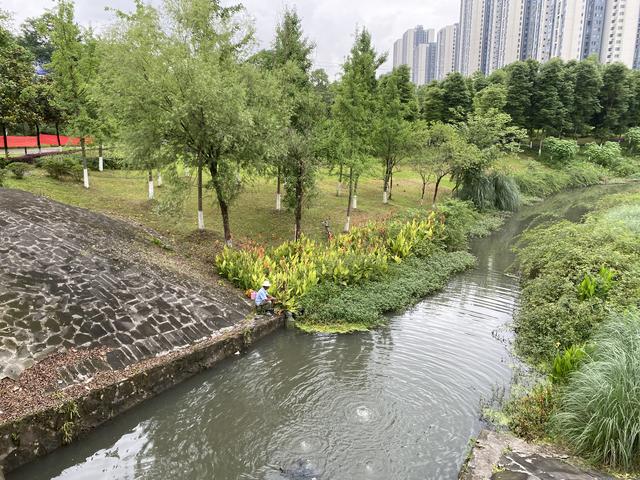 中央公园,大学城,重庆大学,湿地公园,大学城站