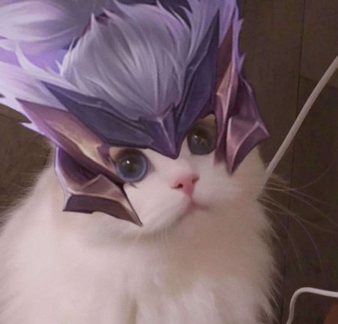 王者荣耀猫猫换头图——五岳五神兽专辑