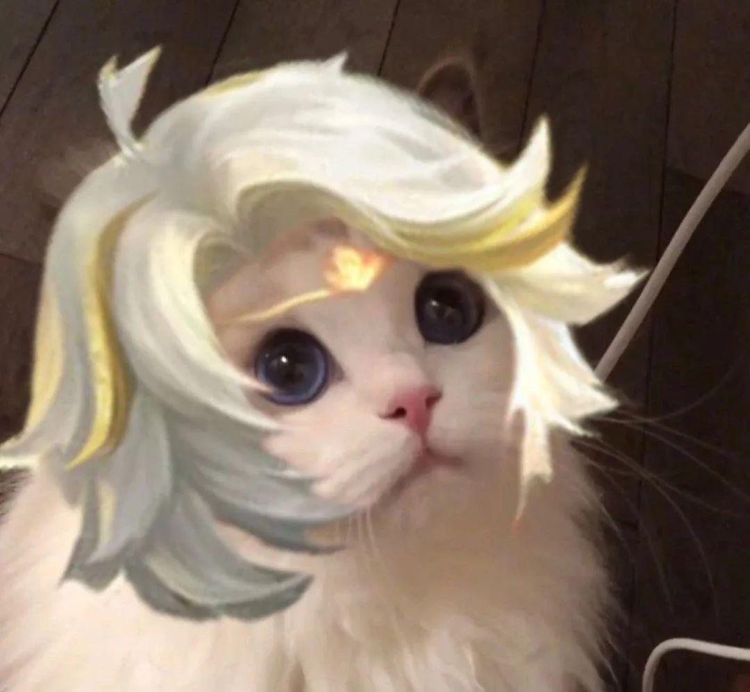 王者荣耀猫猫换头图——五岳五神兽专辑