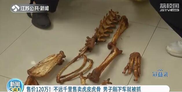 野生动物,虎皮虎骨,千里送货,辽宁,丹阳