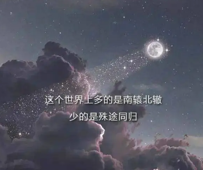 "值得摘抄在备忘录的温柔仙句":不闻星河须臾,只想固执走向你